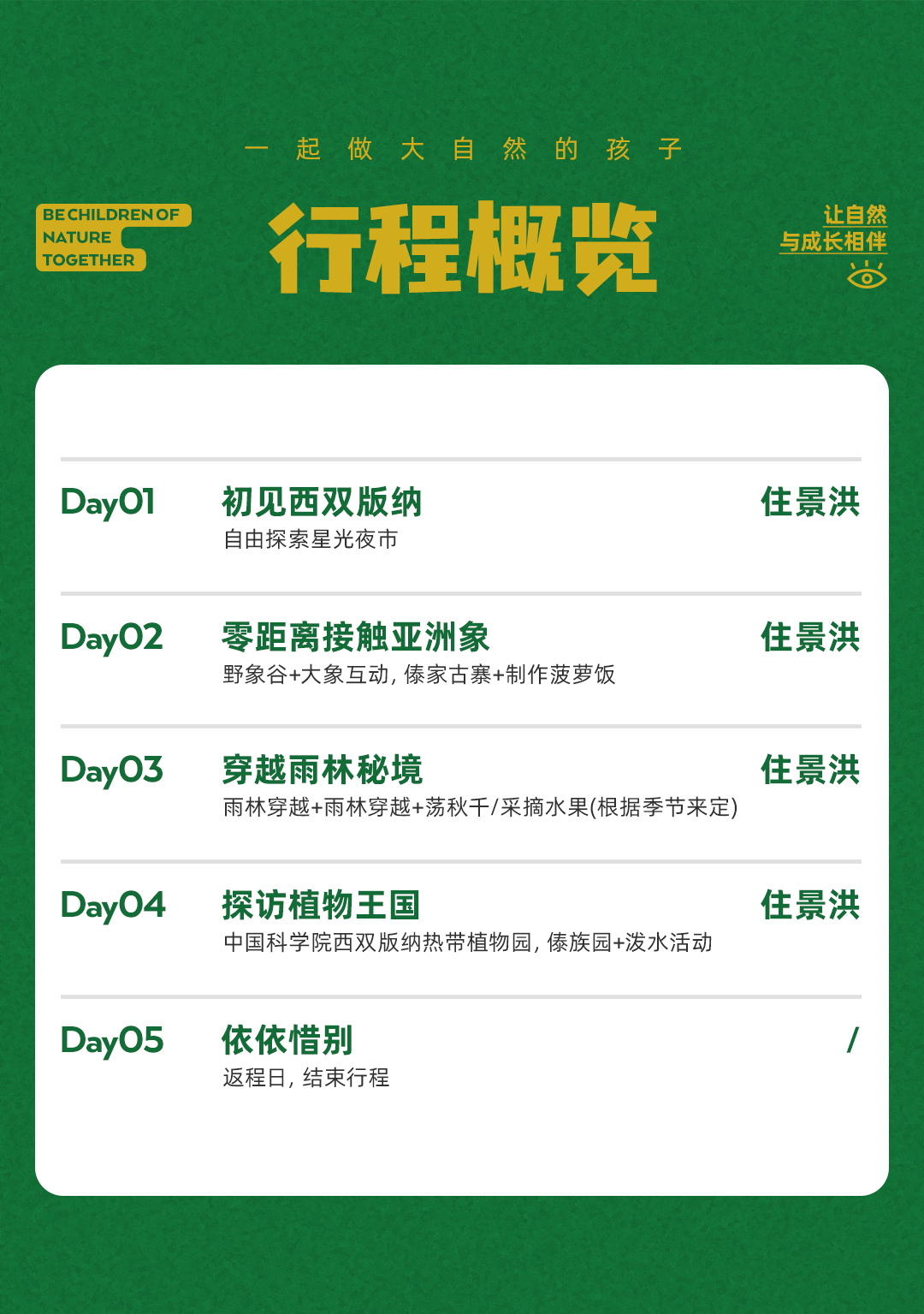 【雨林奇遇记】西双版纳5日_05