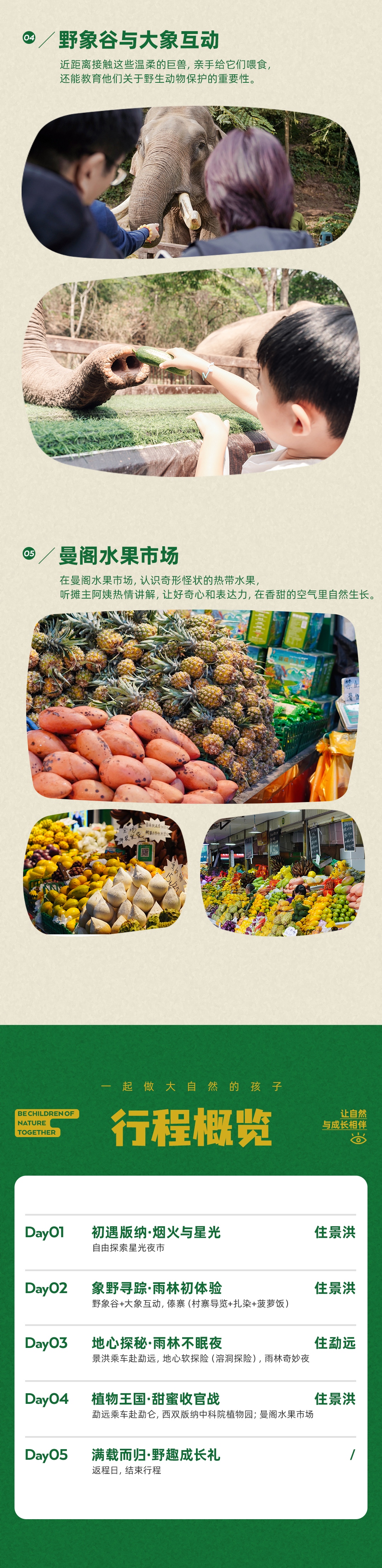 【雨林奇遇记】西双版纳5日_05