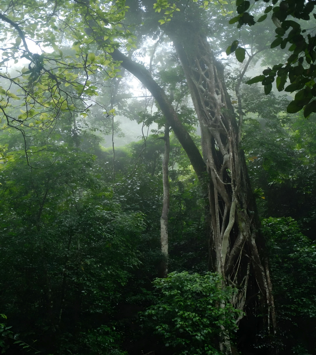 bda8fb8687a6659744076de106f3621d(1)