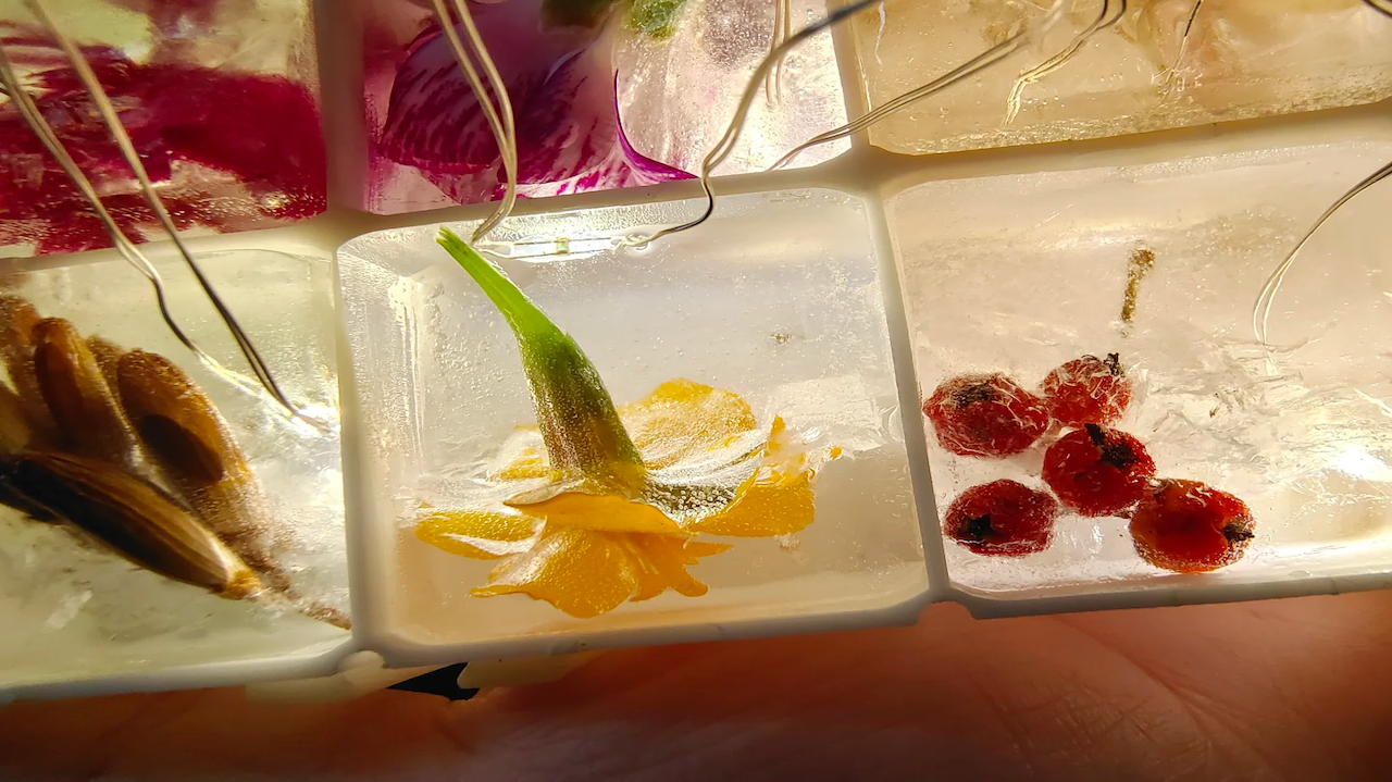 0b3fd03f5954029d9dfebabccfa42f63 0b3fd03f5954029d9dfebabccfa42f63