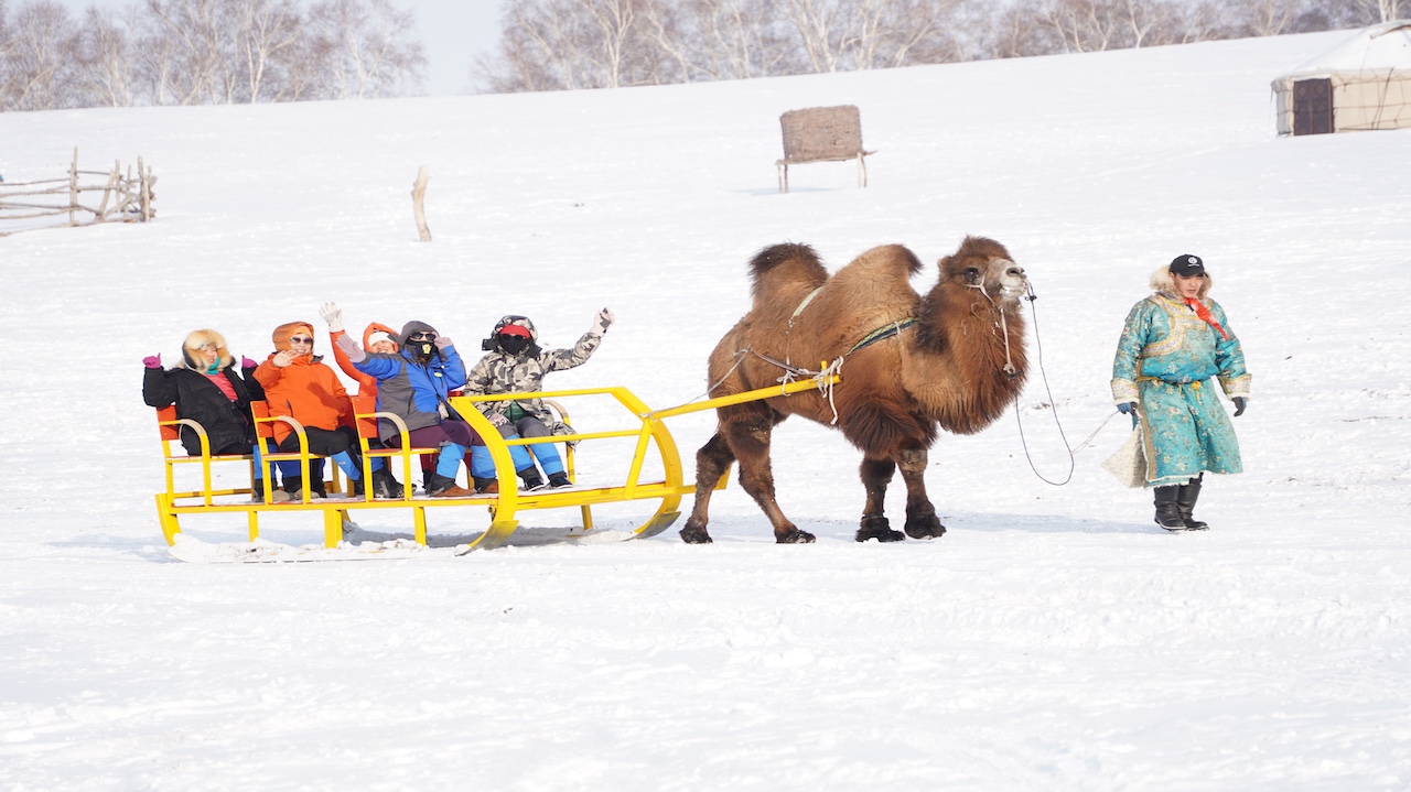 微信图片_20251016203950_682_15 微信图片_20251016203950_682_15