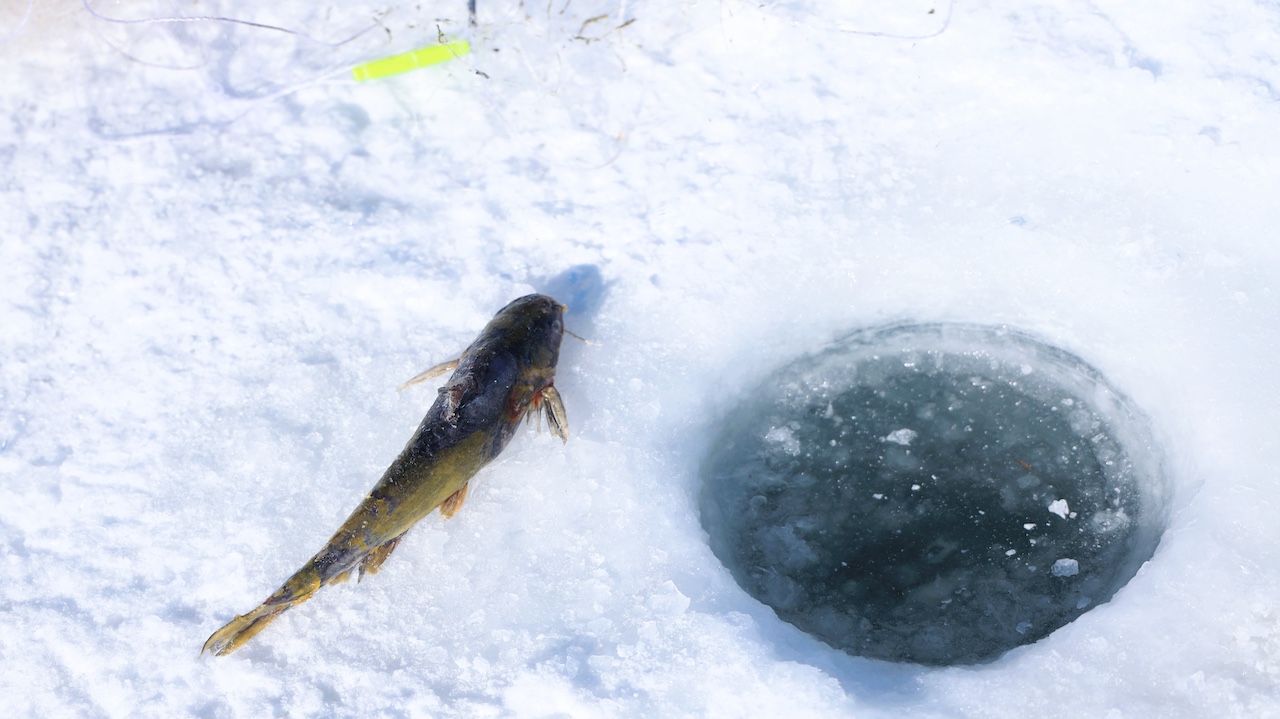 微信图片_20251021180007_116_710 微信图片_20251021180007_116_710